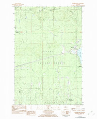 Download a high-resolution, GPS-compatible USGS topo map for Merriweather, MI (1982 edition)