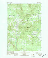 Download a high-resolution, GPS-compatible USGS topo map for Morey, MI (1984 edition)