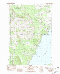 Download a high-resolution, GPS-compatible USGS topo map for Mullett Lake, MI (1983 edition)