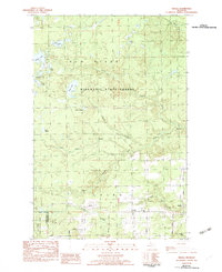 Download a high-resolution, GPS-compatible USGS topo map for Nisula, MI (1983 edition)