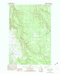 Download a high-resolution, GPS-compatible USGS topo map for Paynesville, MI (1983 edition)