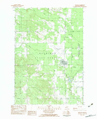 Download a high-resolution, GPS-compatible USGS topo map for Pellston, MI (1983 edition)