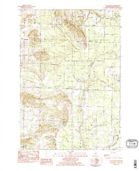 preview thumbnail of historical topo map of Manistee County, MI in 1982