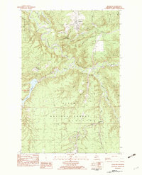 preview thumbnail of historical topo map of Rockland, MI in 1982