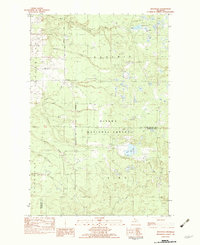 Download a high-resolution, GPS-compatible USGS topo map for Rousseau, MI (1983 edition)