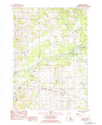 preview thumbnail of historical topo map of Osceola County, MI in 1984