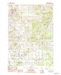 Download a high-resolution, GPS-compatible USGS topo map for Shelby, MI (1983 edition)
