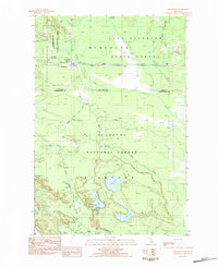 Download a high-resolution, GPS-compatible USGS topo map for Shingleton, MI (1984 edition)