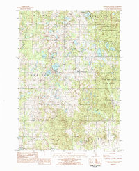 preview thumbnail of historical topo map of Osceola County, MI in 1983