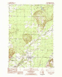 preview thumbnail of historical topo map of Thompsonville, MI in 1983