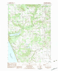 Download a high-resolution, GPS-compatible USGS topo map for Town Corners, MI (1983 edition)