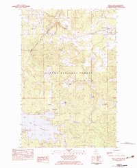 Download a high-resolution, GPS-compatible USGS topo map for Trout Creek, MI (1983 edition)