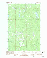 preview thumbnail of historical topo map of Iron County, MI in 1982