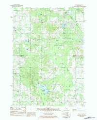 Download a high-resolution, GPS-compatible USGS topo map for Woods, MI (1984 edition)