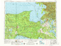 1954 Map of Sault Sainte Marie, 1979 Print