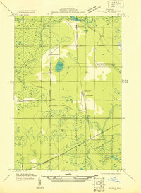 Download a high-resolution, GPS-compatible USGS topo map for Blaney SW, MI (1931 edition)