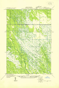 Download a high-resolution, GPS-compatible USGS topo map for Driggs Lake SE, MI (1931 edition)