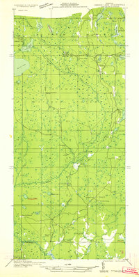 Download a high-resolution, GPS-compatible USGS topo map for Skeels Lake NW and SW, MI (1932 edition)