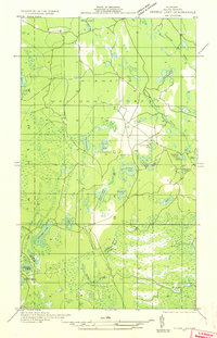 Download a high-resolution, GPS-compatible USGS topo map for Skeels Lake SE, MI (1932 edition)