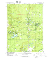 Download a high-resolution, GPS-compatible USGS topo map for Baldwin, MI (1979 edition)