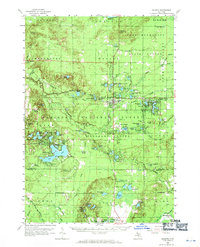 Download a high-resolution, GPS-compatible USGS topo map for Baldwin, MI (1971 edition)