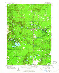 Download a high-resolution, GPS-compatible USGS topo map for Baldwin, MI (1960 edition)