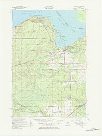 Download a high-resolution, GPS-compatible USGS topo map for Brimley, MI (1984 edition)