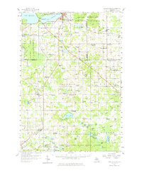 preview thumbnail of historical topo map of Osceola County, MI in 1957