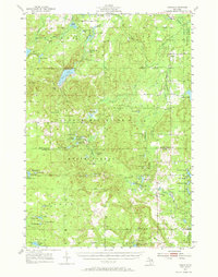Download a high-resolution, GPS-compatible USGS topo map for Comins, MI (1970 edition)