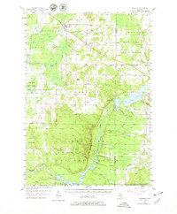 Download a high-resolution, GPS-compatible USGS topo map for Copemish, MI (1979 edition)