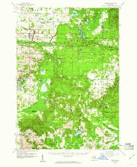 Download a high-resolution, GPS-compatible USGS topo map for Custer, MI (1960 edition)