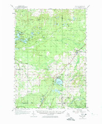 Download a high-resolution, GPS-compatible USGS topo map for Fife Lake, MI (1974 edition)