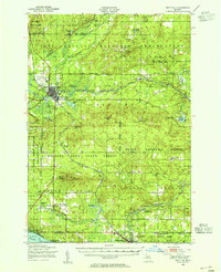 1949 Map of Grayling, 1955 Print
