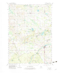 Download a high-resolution, GPS-compatible USGS topo map for Hesperia, MI (1982 edition)