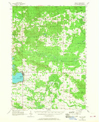 Download a high-resolution, GPS-compatible USGS topo map for Lake City, MI (1968 edition)