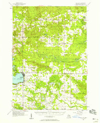 Download a high-resolution, GPS-compatible USGS topo map for Lake City, MI (1958 edition)