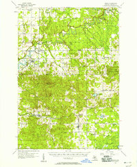 Download a high-resolution, GPS-compatible USGS topo map for Mesick, MI (1958 edition)