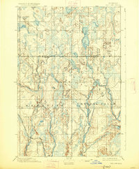 1895 Map of Ned Lake, 1925 Print