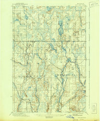 1895 Map of Ned Lake, 1944 Print