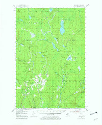 Download a high-resolution, GPS-compatible USGS topo map for Ned Lake, MI (1982 edition)