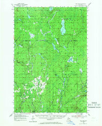 Download a high-resolution, GPS-compatible USGS topo map for Ned Lake, MI (1967 edition)