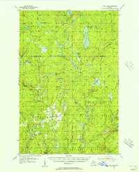Download a high-resolution, GPS-compatible USGS topo map for Ned Lake, MI (1956 edition)