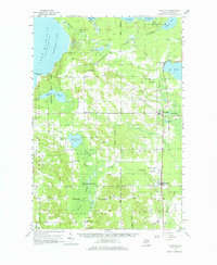 Download a high-resolution, GPS-compatible USGS topo map for Pellston, MI (1969 edition)