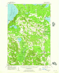 Download a high-resolution, GPS-compatible USGS topo map for Pellston, MI (1959 edition)
