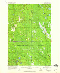 Download a high-resolution, GPS-compatible USGS topo map for Shingleton, MI (1959 edition)
