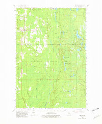 Download a high-resolution, GPS-compatible USGS topo map for Trenary, MI (1982 edition)