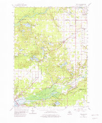 Download a high-resolution, GPS-compatible USGS topo map for Twin Lake, MI (1982 edition)