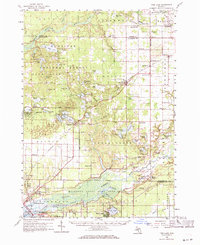 Download a high-resolution, GPS-compatible USGS topo map for Twin Lake, MI (1971 edition)