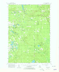 Download a high-resolution, GPS-compatible USGS topo map for Wellston, MI (1979 edition)