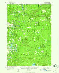 Download a high-resolution, GPS-compatible USGS topo map for Wellston, MI (1958 edition)